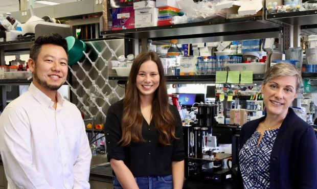 Pictured (L to R): David Myung, MD, PhD; Sarah Hull; and Sarah Heilshorn, MS, PhD, are using 3D bioprinting technology to create transplantable engineered corneas to substitute for cadaveric donor corneal tissue, which is in short supply worldwide.