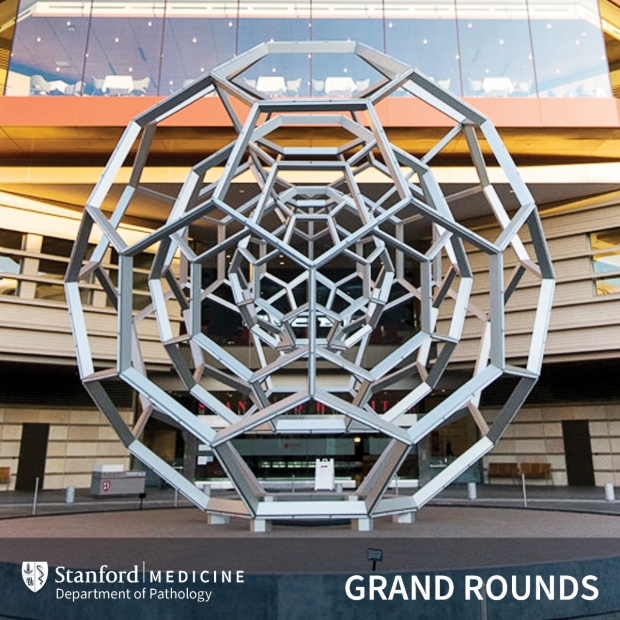 photo of the bucky ball at the front of the new hospital