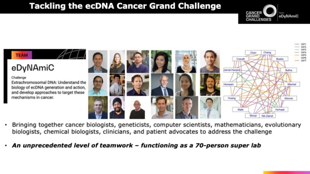 composite photo showing all the contributing members of the ecDNA Cancer Grand Challenge
