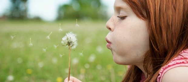 Child blowing grass in the wind