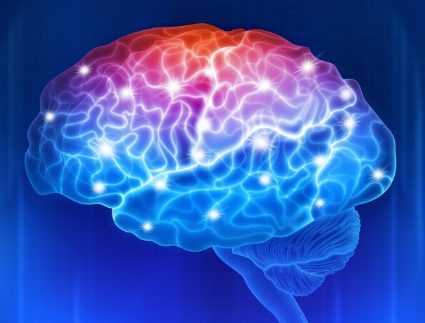 Seizures become more frequent or more severe in some patients with epilepsy because the brain learns how to have seizures the same way it learns skills, Stanford researchers have found.  Yurchanka Siarhei/Shutterstock.com