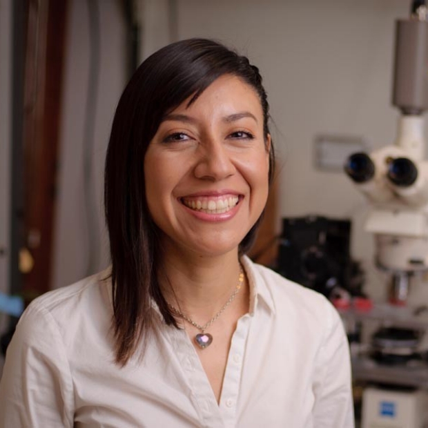 Maria-Belen Perez-Ramirez PhD