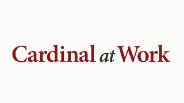 Cardinal at work