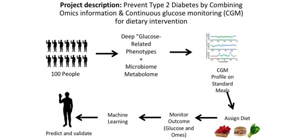 Concept illustraton for Precision Diets For Diabetes Prevention