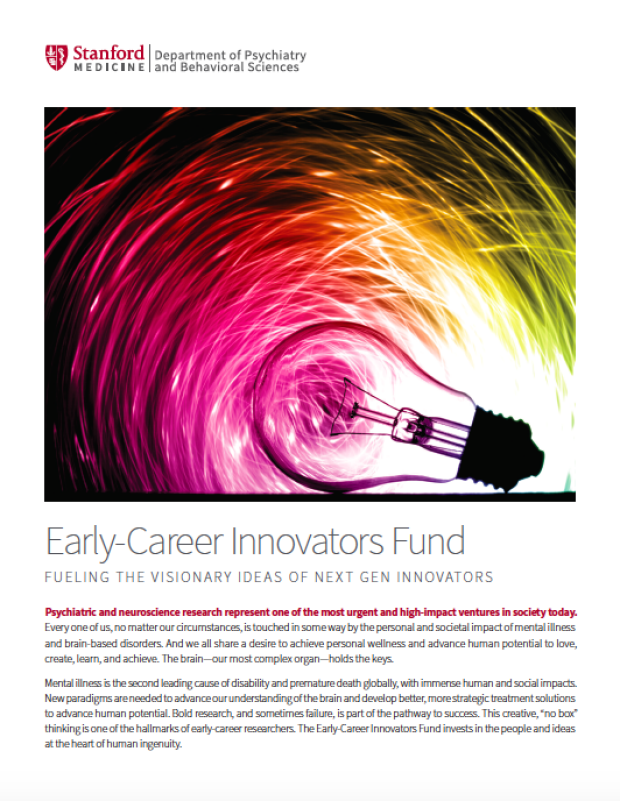 Early career innovator fund brochure