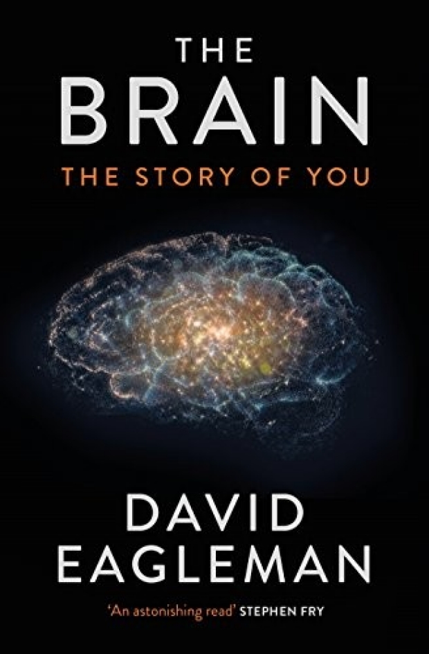 The Brain, The Story of You, by David Eagleman