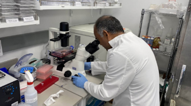 Researcher working in lab
