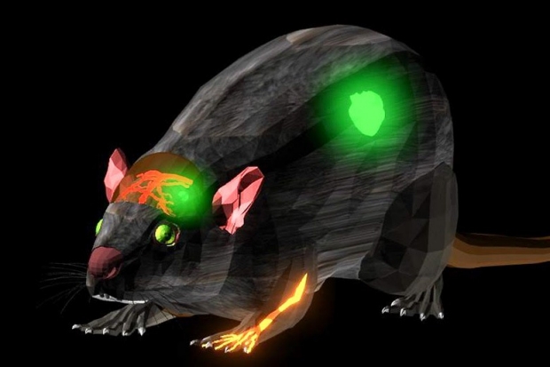 Illustration of molecular imaging of mouse