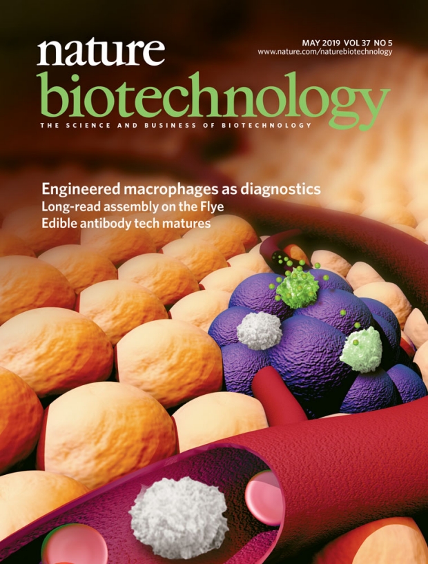 Featured on the cover of Nature Biotechnology: Immune Cells Engineered to Signal when Cancer is Detected