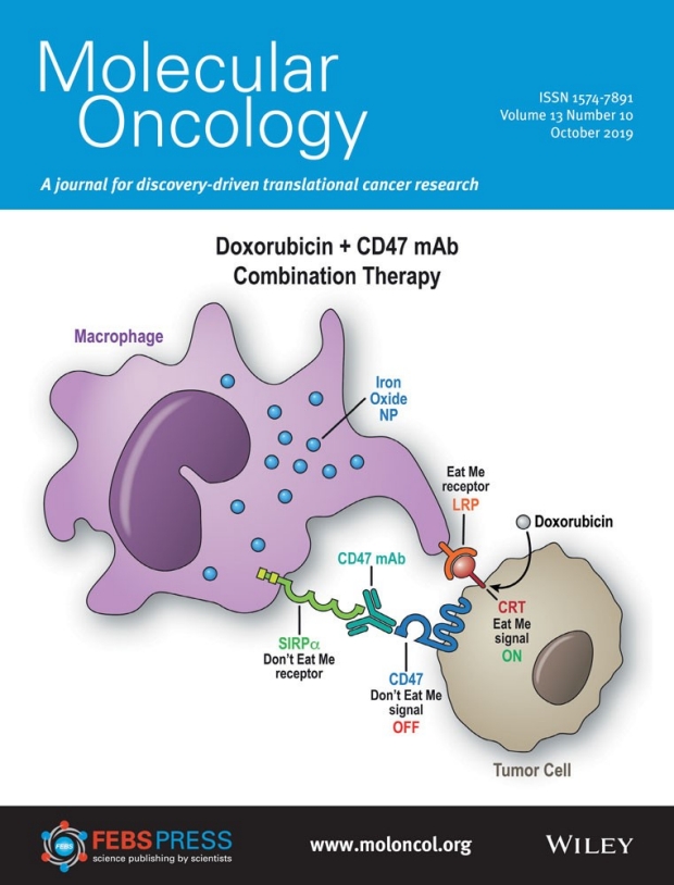 Cover of Molecular Oncology, volume 13, number 10. Illustration of CD47 mAb therapy blocks a "don't eat me" signal on cancer cells and doxorucicin chemotherapy activates an "eat me" signal (calreticulin) on cancer cells.