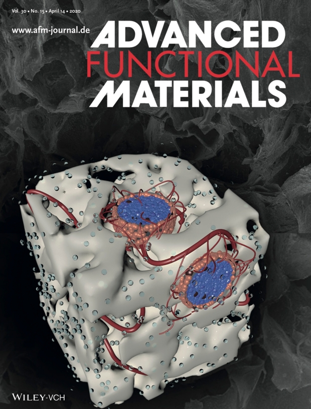 New Research from the Thakor Lab Featured on the Cover of Advanced Functional Materials
