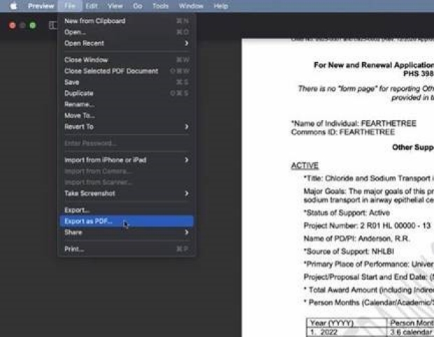 Screenshot of Preview Application Export to PDF Option
