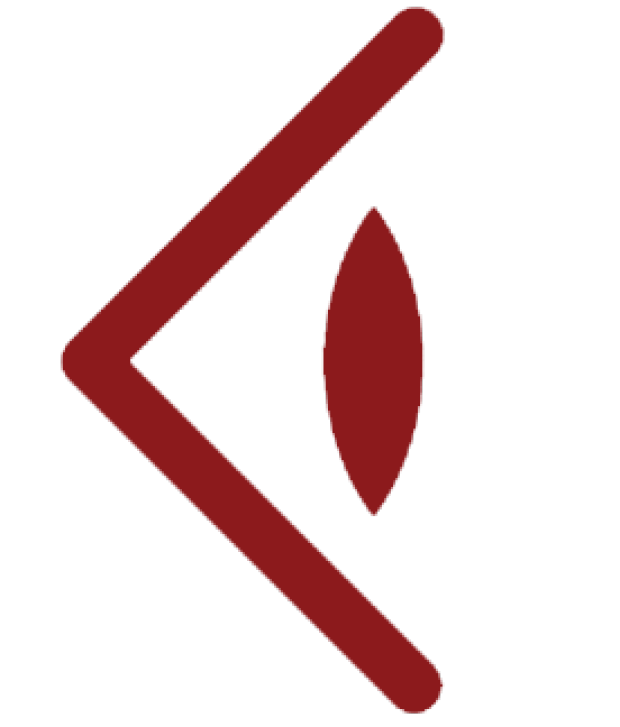 Roberts Vision Development & Oculomotor Lab Logo