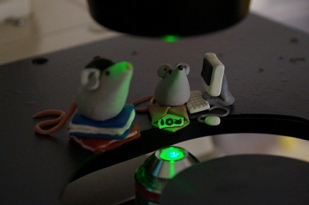 mice with microscope