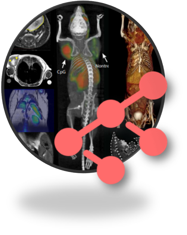 Data Science in Preclinical Imaging
