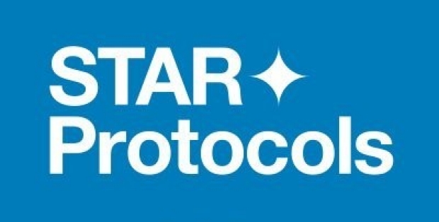 Star Protocols logo