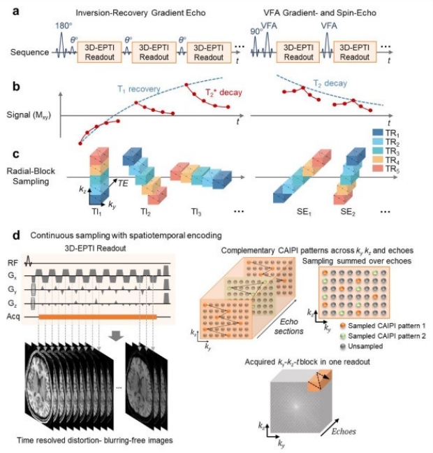 3D Echo Planar Time-resolved Imaging (3D-EPTI) for ultrafast multi-parametric quantitative MRI