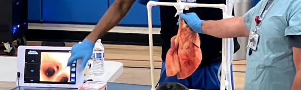 Lung Demonstration