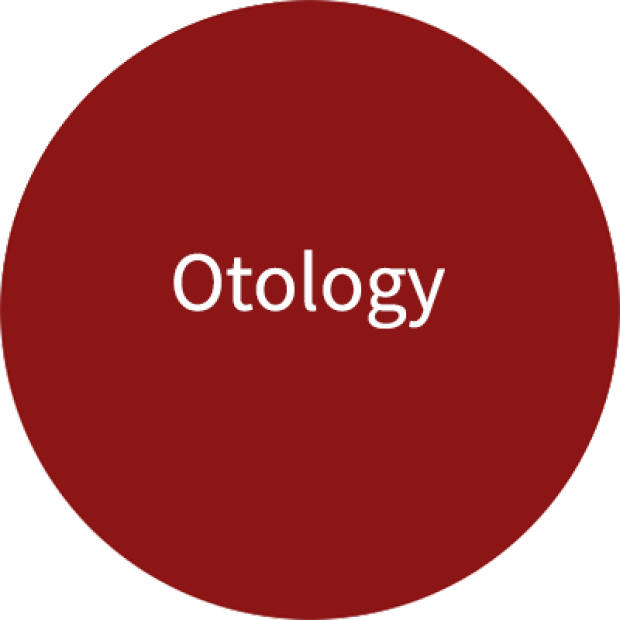 Stanford Otology