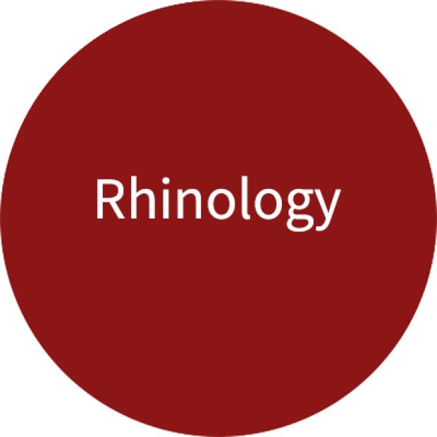 Stanford Rhinology