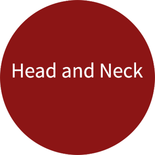 Stanford Head and Neck Surgery