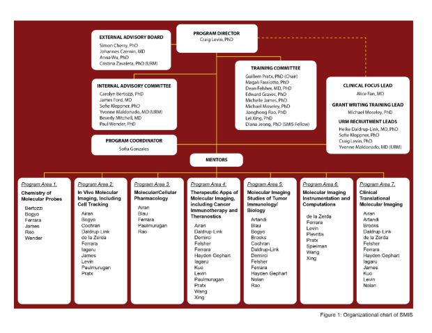 SMIS Organization Chart