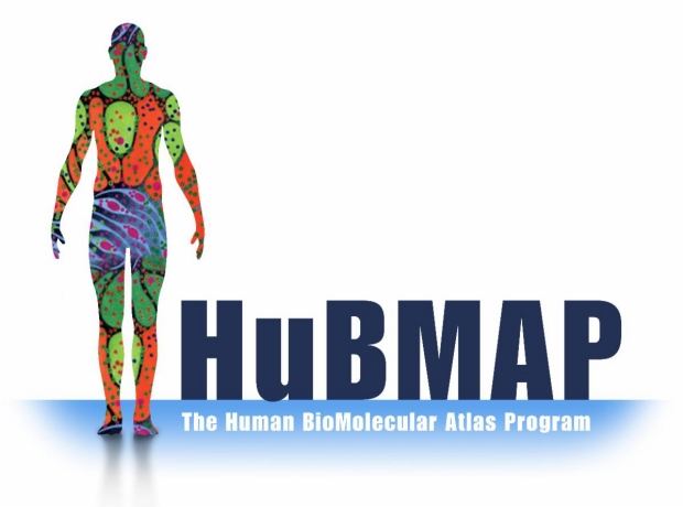 HuBMAP - The Human BioMolecular Atlas Program