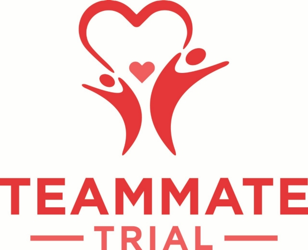TEAMMATE Logo