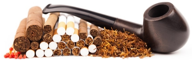 Tobacco plants, dried, in cigar form, in smokless form, and cigarette butts