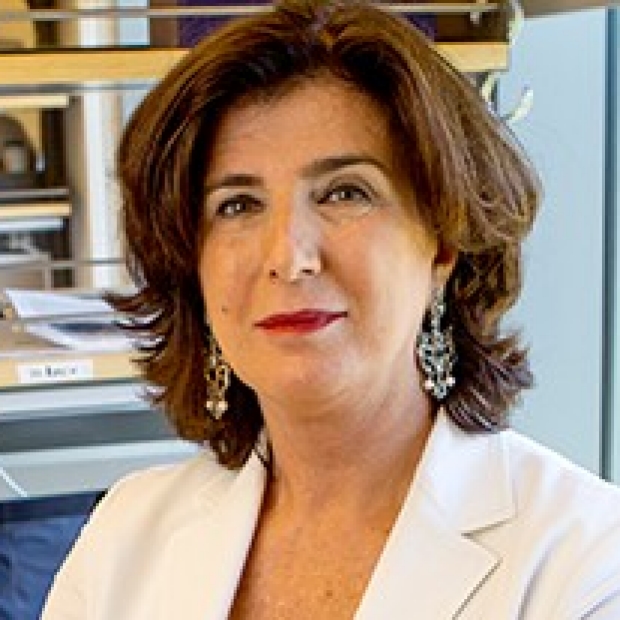 Maria Grazia Roncarolo, MD