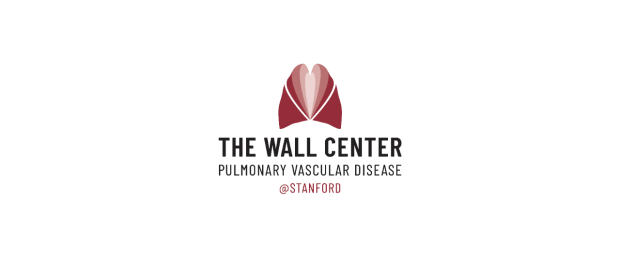 Wall Center logo
