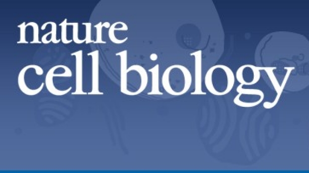 Nature Cell Biology logo
